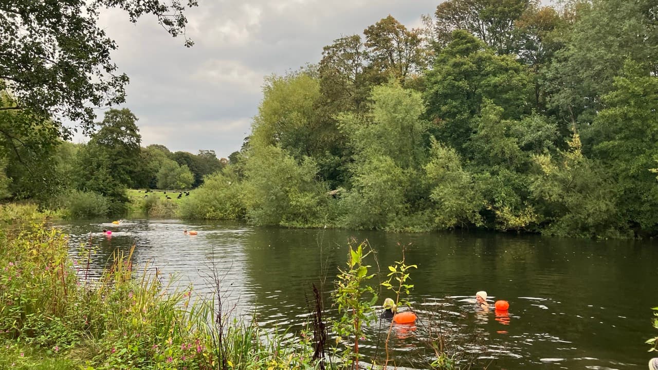 Swillington Wilds wild swimming lake and sauna near Leeds